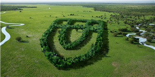 健康是“檢驗”出來的！2022年度世友地板市場抽檢報告公布